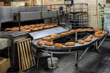 Freshly baked hot bread loafs on the production line