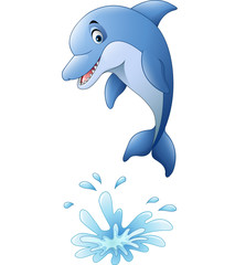 Fototapeta premium Cute dolphin cartoon