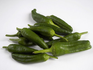 Padron pepper on white background