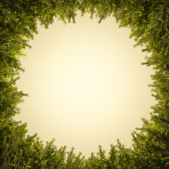 Kranz aus grünen Tannenzweigen