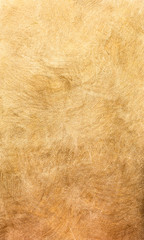 Decorative plaster texture, decorative wall, stucco texture, decorative stucco