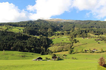 Fototapeta na wymiar Pinzgauer Landschaft (Salzburger Land in Österreich).