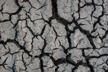 dry and cracked ground