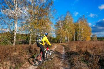 Cyclist practicing mountain bike on a forest trail autumn.
