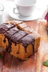 fresh homemade chocolate sponge cake