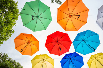 Colorful umbrellas