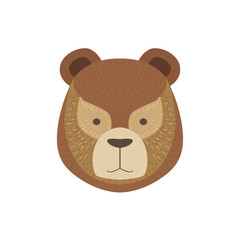 Head Of The Brown Bear