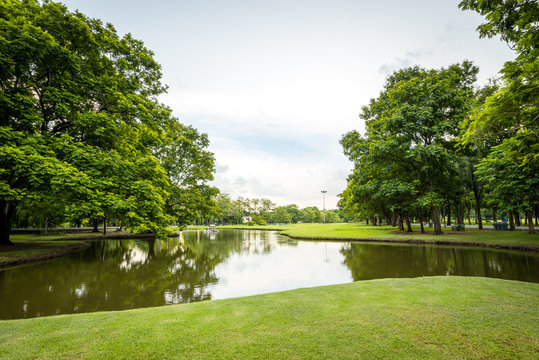 Landscape In City Park With Lake