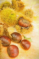 Autumnal still life with fresh chestnuts closeup