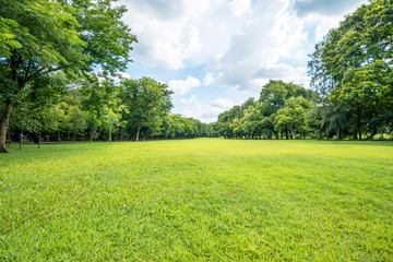 Public park landscape