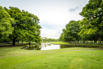 Landscape in city park with lake