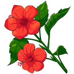 Cartoon of red Hibiscus © TAW4