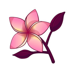Plumeria cartoon style