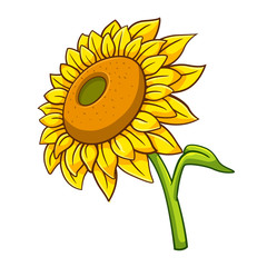 Obraz premium Sunflower cartoon style