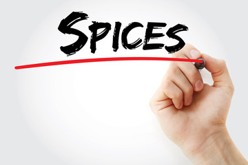 Hand writing Spices with marker, concept background