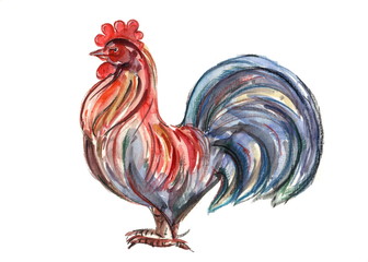  watercolor cock 