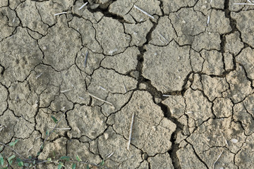 Cracked dry earth background texture