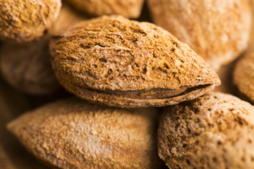 Heap of almond nuts in shell