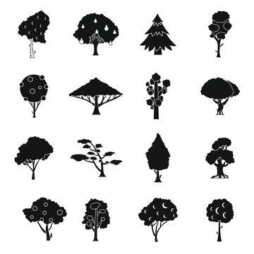 Trees icons set. Simple illustration of 16 trees vector icons for web