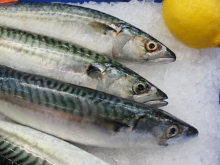 fische auf eis in einer markthalle 