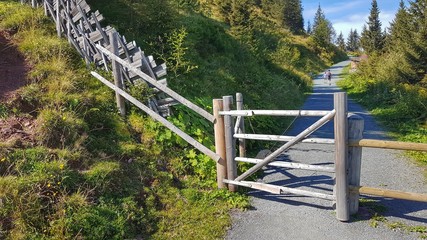 Wanderweg, Kitzbühler Alpen - Tirol, Austria