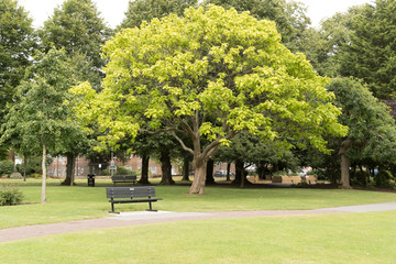 The town park in Alton, Hampshire, England