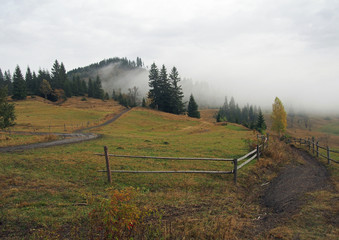 Obraz premium Foggy autumn morning in the Ukrainian Carpathians