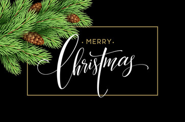 Fototapeta na wymiar Merry Christmas and Happy New Year 2017 greeting card, vector illustration.