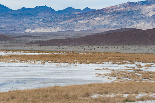 Pool of water and vegetation during winter time in Death Valley National Park