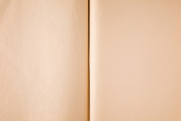 Naklejka na ściany i meble old book open. Paper texture