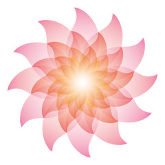 Beautiful Pink Lotus Flower Icon.