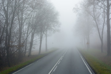 Fototapeta na wymiar Road in foggy autumn morning