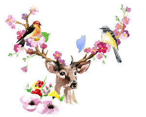 Deer spring bird on the horns made by hand drawn watercolor isolated on the white background