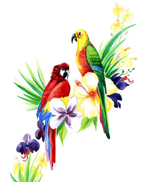 the birds on the branch of flowers watercolor made by hand drawn isolated on the white background