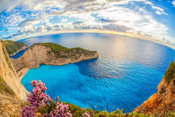 Fototapeta na wymiar Navagio beach with shipwreck and flowers on Zakynthos island in Greece