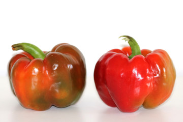 rote Paprika