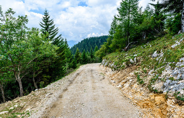 Fototapeta na wymiar Forrest path or mountain road trail with trees in background.