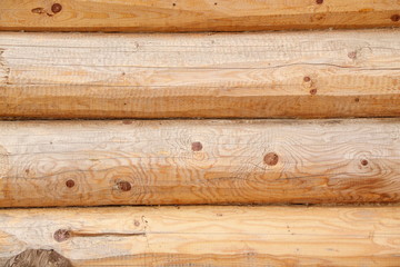 деревянная текстура бревна  © nzgeirbyf