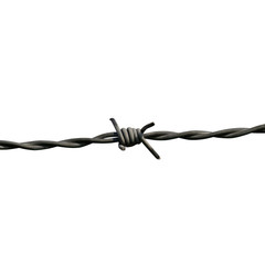 Barb Wire Isolated