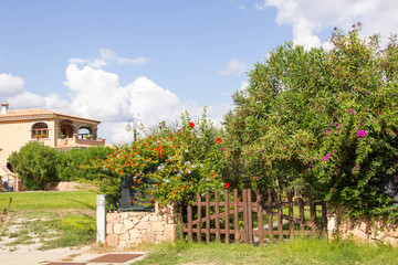 SAN TEODORO, ITALY is a typical seaside Sardinian town. villas for rent homes, cute Italian street