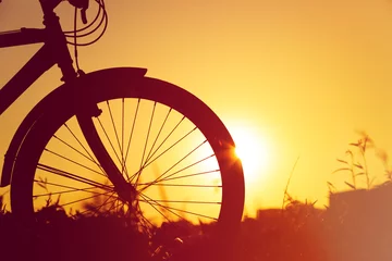 Papier Peint photo Lavable Vélo riding bike at sunset nature