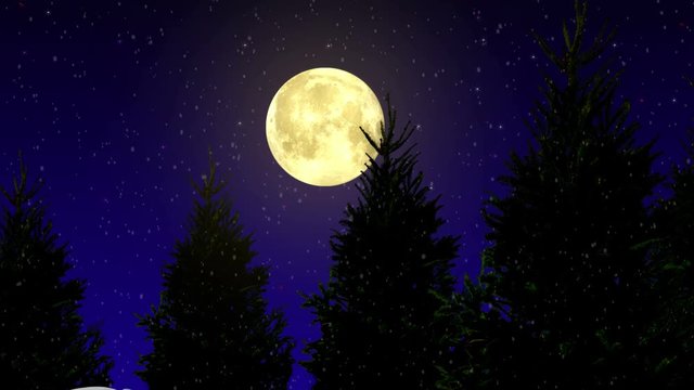  4K night winter landscape with moon