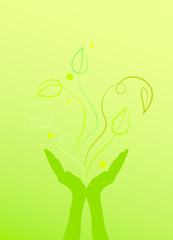 Hands holding flourishing leaves