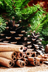 Cinnamon sticks and star anise in the Christmas decoration with