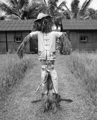 black and white scarecrow