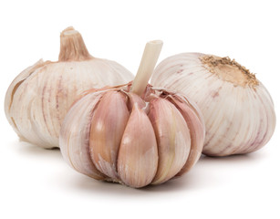 Garlic bulb isolated on white background cutout
