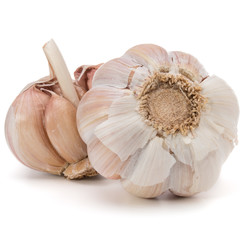 Garlic bulb isolated on white background cutout