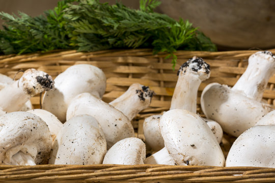 Raw mushrooms into a wicker basket. Organic food
