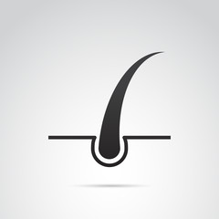Hair vector icon.