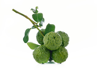 Bergamot isolated white background.